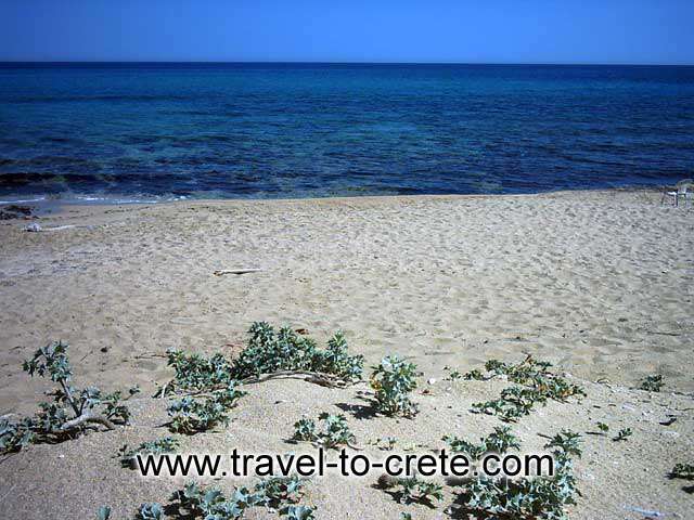 AKROTIRI STAVROS - The long sandy beach