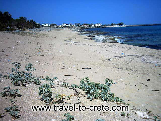 AKROTIRI STAVROS - The long sandy beach