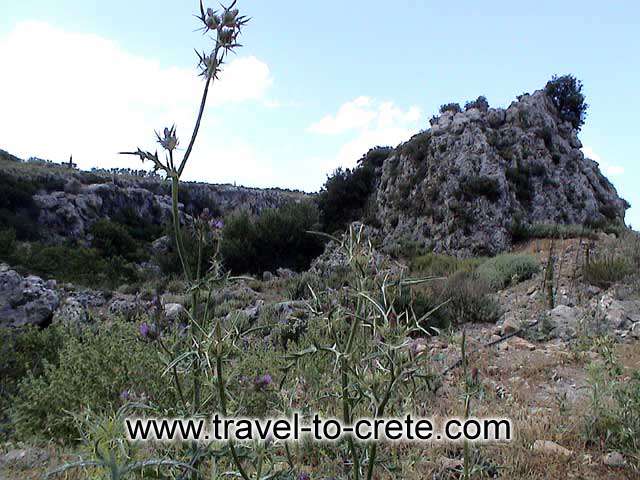 ASITIS - The hill above Agios Pavlos