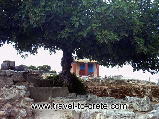 KNOSSOS - 