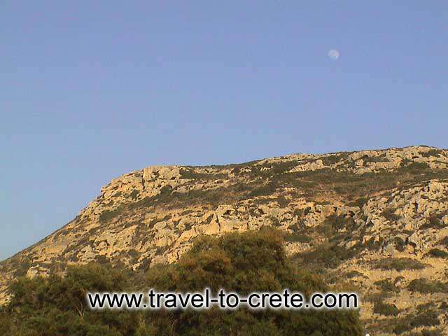 MATALA - 