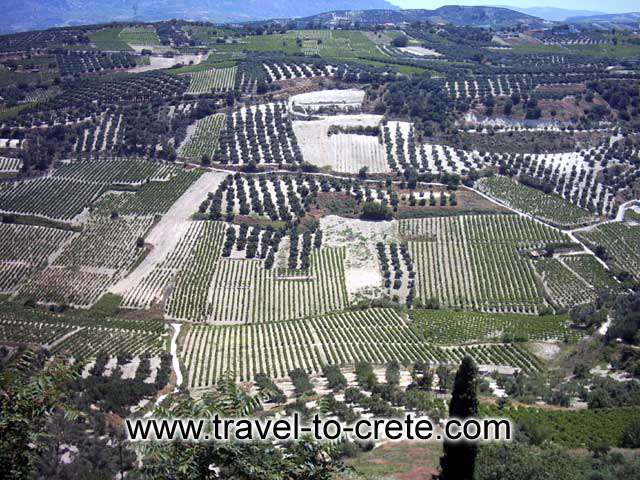 PETROKEFALO - The view of the valley from Petrokefalo