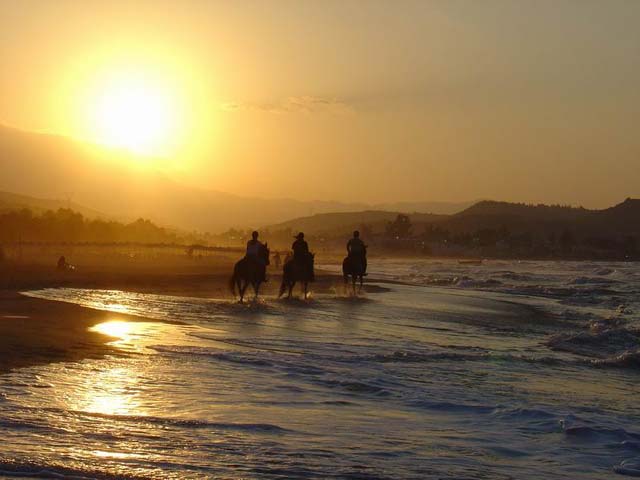 The Running Horses... - This picture is taken in Crete (Georgioupoli gulf) on August2004 during my vacations there. 
All carry out very fast, as i was lying down in the beach, when these 3 horses passed in front of me. by Vasilis Asim