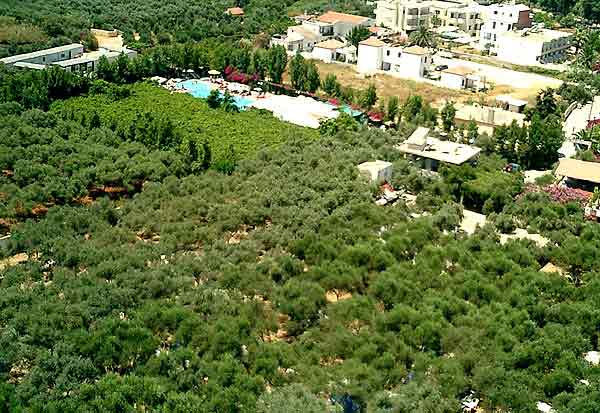 Aerial photo of Camping Hania CLICK TO ENLARGE