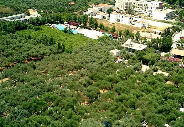 Aerial photo of Camping Hania