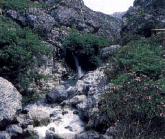 Tourists hiking through the Samaria Gorge may be given hard hats to protect them from falling rocks, authorities in Crete said yesterday, as a 14-year-old boy was recovering in the hospital after being injured while walking through one of the island’s main tourist attractions. <br><br>

Doctors in Hania said the unnamed Austrian teenager’s health was improving after he was struck on the head by a falling rock on Tuesday. Surgeons operated on the boy but said he was not yet out of danger. <br><br>

The teenager’s injury came two months after a Frenchman was killed after being hit by a falling rock at the same spot in the gorge. <br><br>

This prompted the head of the forestry service, which is responsible for looking after the national park in southwest Crete where the 18-kilometer-long gorge lies, to say safety measures may be adopted. <br><br>

Vassilis Kassotakis said authorities would look into diverting hikers past the section of the gorge where falling rocks have been reported. The forestry service is also examining the possibility of distributing hard hats to visitors.